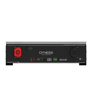 Акумуляторна батарея 5,12 кВт*час Dyness DL5.0C 000050 фото