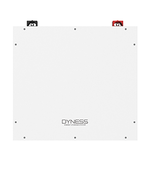 Акумуляторна батарея 5,12 кВт*час Dyness DL5.0C 000050 фото
